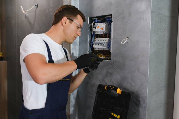 Best Electric Panel Repair  in Woodhaven, MI
