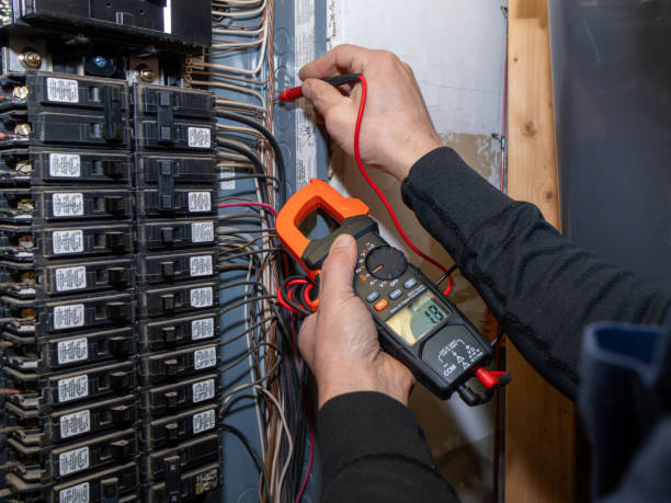 Best Affordable Electrician  in Woodhaven, MI
